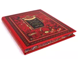 Книга в кожаном переплете Луи Буссенар "Приключения Воздухо-Плавателей"